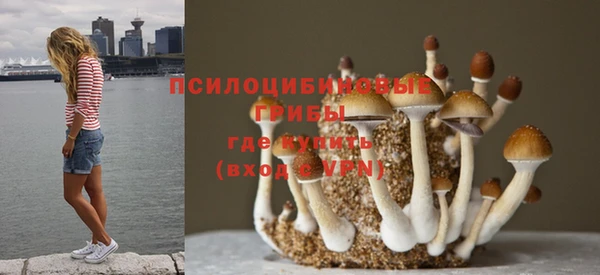 гидра Алзамай