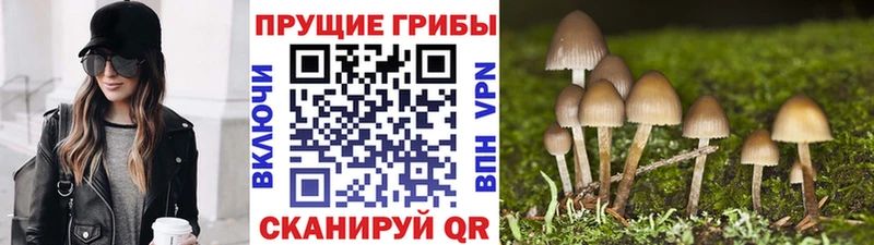 Галлюциногенные грибы Magic Shrooms  цены наркотик  Омутнинск 